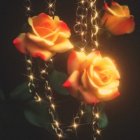 Расходы (feat. LOVINLEE) - Single - РОКС