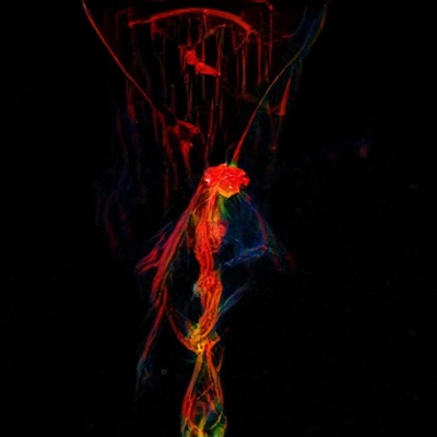 Soundcloud Bumps, Vol. 2