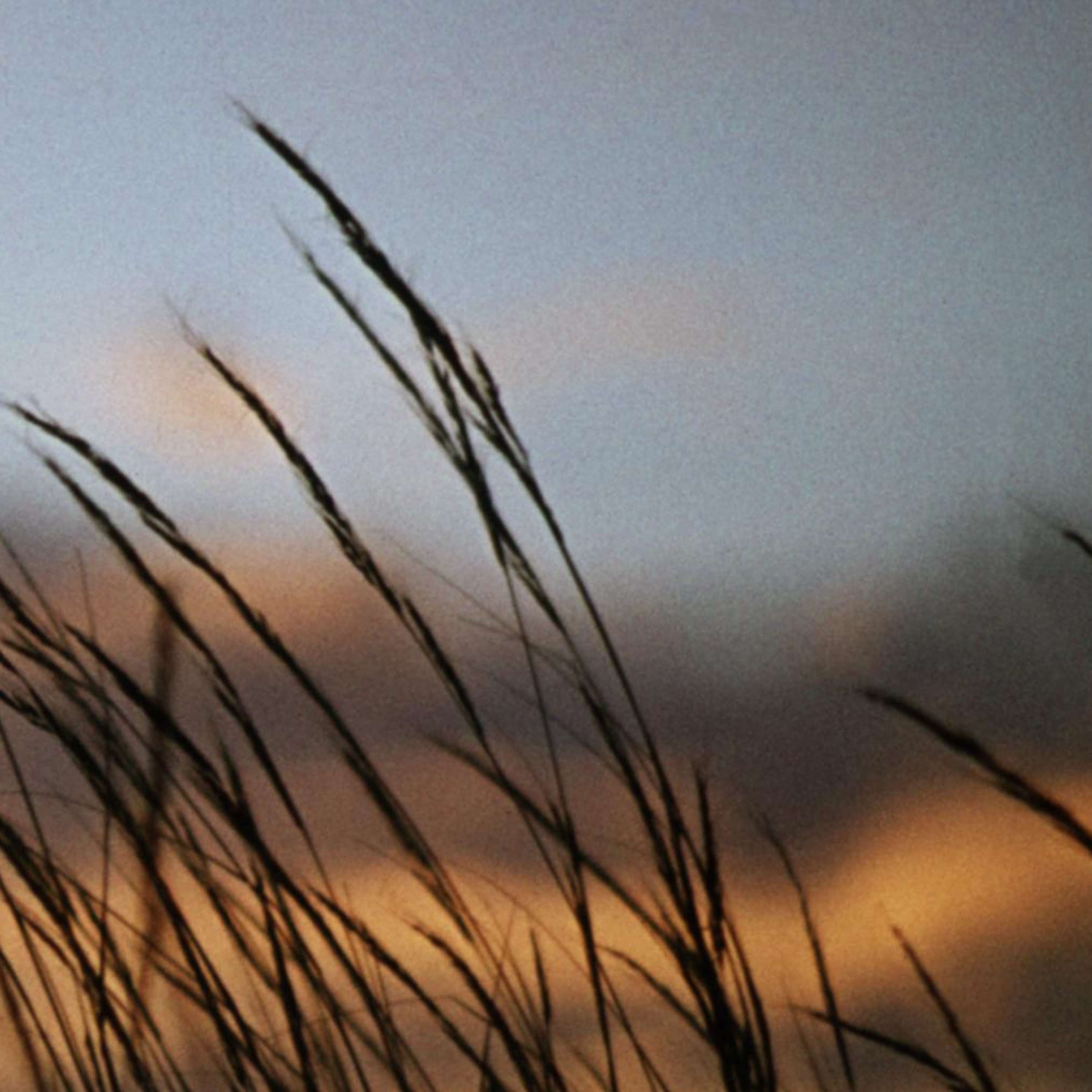 Diamonds & Gasoline - Single