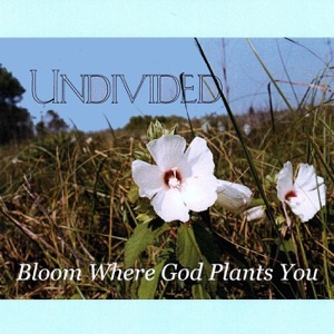 Bloom Where God Plants You