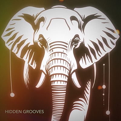 Hidden Grooves - EP