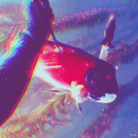 EXOTIC FISH (feat. Noqh) STPH So Low