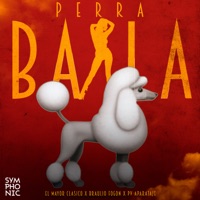 Baila Perra - Single - Braulio Fogon, El mayor clasico & PV Aparataje