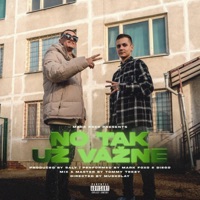 No Tak Už Vážne (feat. Niko_OFFicial) - Single - Mark Foxo