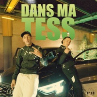 Dans ma tess (feat. ZoRam's) - Single - AD La Grinta