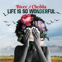 Life is so wonderful (Remix) - Single - B.Ivee & Chedda