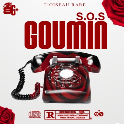 Sos Goumin - Single