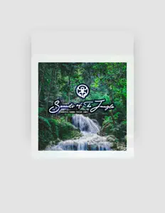 收听 Sounds of the Jungle、观看音乐视频、阅读小传、查看巡演日期等 ！