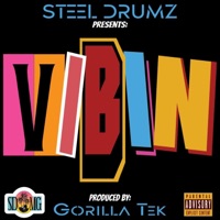 Vibin - Single - Steel Drumz