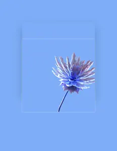 收听 Deuxsoleils、观看音乐视频、阅读小传、查看巡演日期等 ！