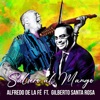 Alfredo de la Fé - Salsero al Mango (feat. Gilberto Santa Rosa)