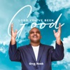 Lord You've Been Good - Single