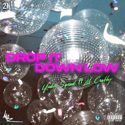 Dropit Down Low - Single