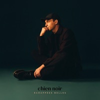 Echappées belles - Single - chien noir