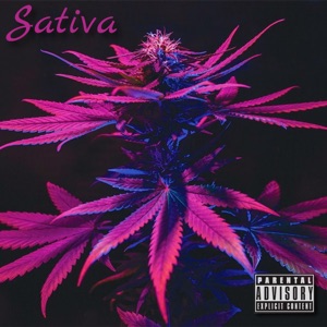Sativa (feat. Flackobrazyy & Swank Buddha)