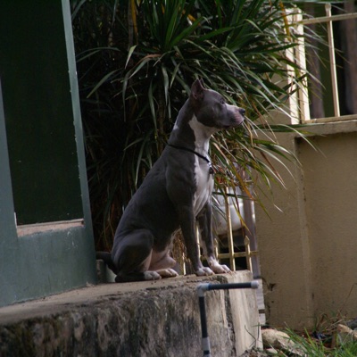 Alright, Alright Okay - Single