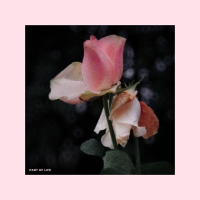 Part of Life. - Single