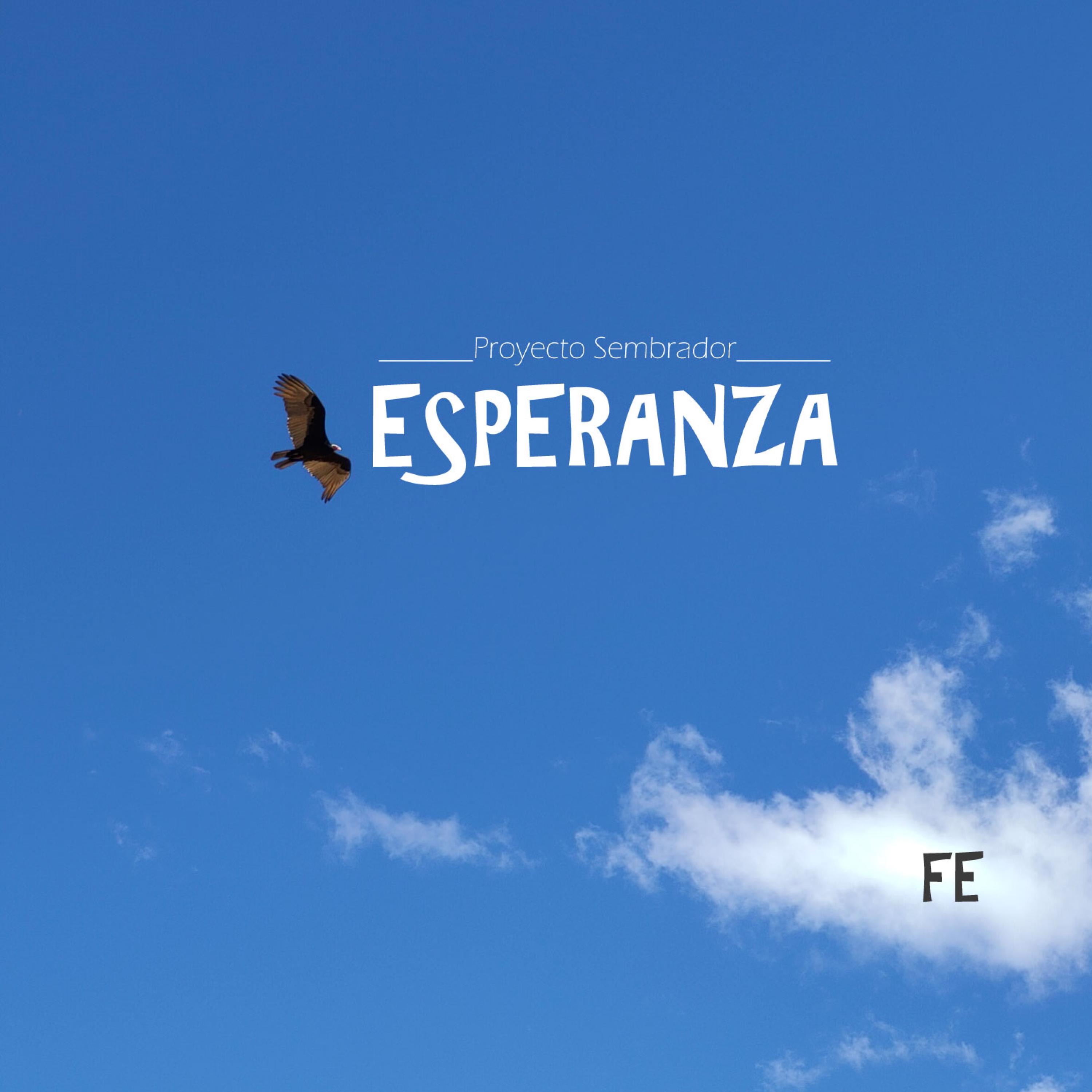 Fe - Single