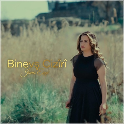 Binevş cizîrî - Roj Çu Ava