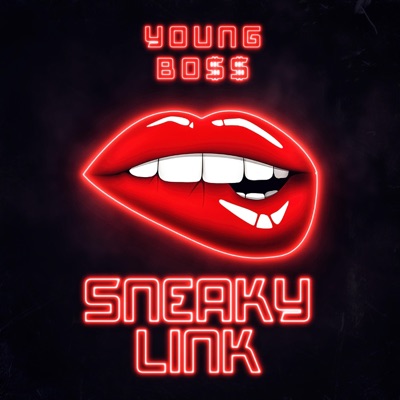 Sneaky Link - Single