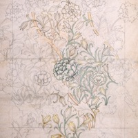 Animated - Single - icey wavs