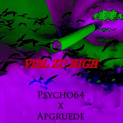 VIEL ZU HIGH (feat. Apgruede) - Single