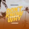 Don't Know Why (Reggae Remix) artwork