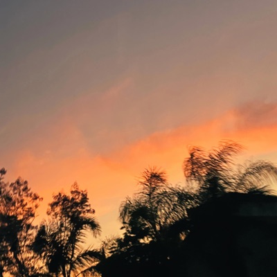 I Still Wanna Be With You - Single