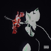 Good luck, be careful (Infernus Mix) - Single - Dante Gabriel