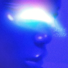 Laisse Tomber Brownelims