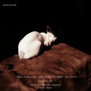 Why Wait for 1984? (Remixed) - Single