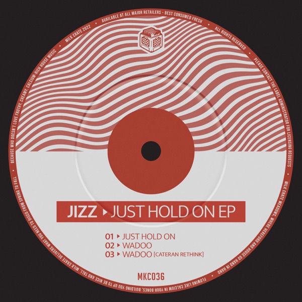 Just Hold On - Single