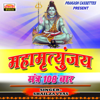 Mahamritunjay Mantra108 Baar - EP - Shailza Vyas