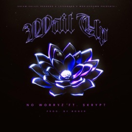 Wait Up (feat. Skrypt) No Worryz