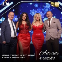 Ani ani rreziko (feat. Adnan Daci) - Single - Mahmut Ferati, Ezo Menic & Lori