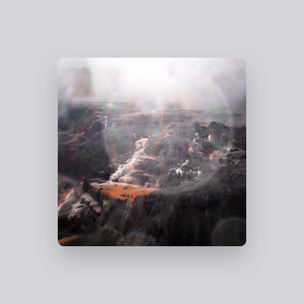 sleepless & lorn's avatar