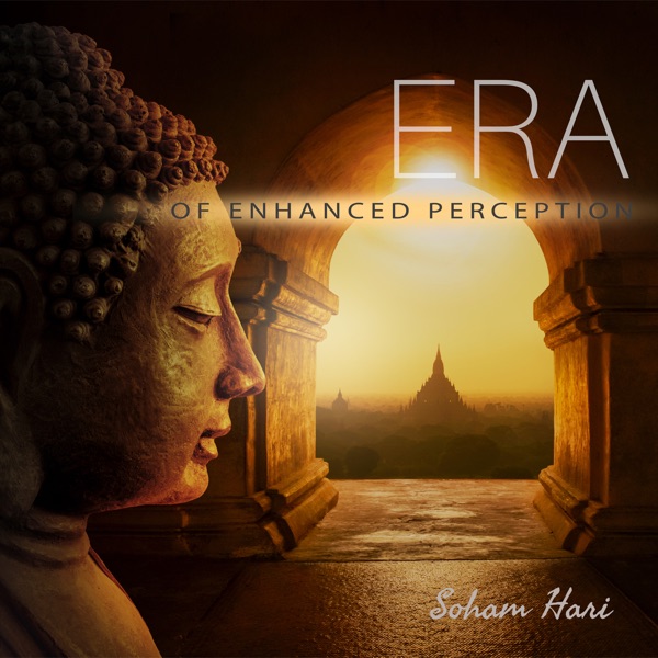 Era of Enhanced Perception