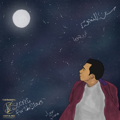 A Secret For The Stars - Single