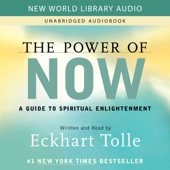 The Power of Now: A Guide to Spiritual Enlightenment - Eckhart Tolle Cover Art