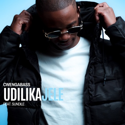Udilikajele (feat. Sundile) - Single