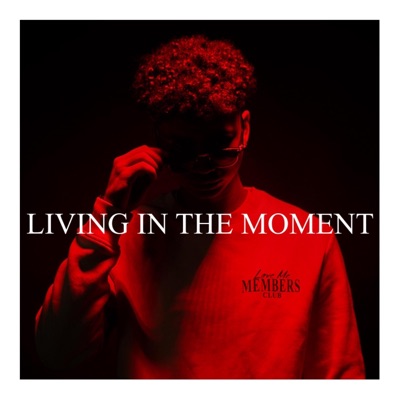 Living In the Moment - EP