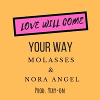 Love Will Come (Your Way) (feat. Nora Angel) - Single - Molasses