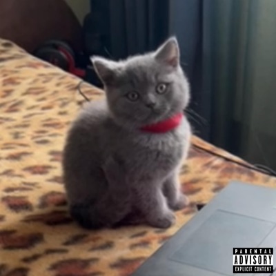 perctivated - Futsal (Interlude)