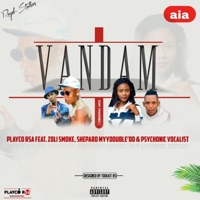 Vandam (feat. Zoli Smoke, ShepardMyyDouble’do & Psychonic Vocalist) - Single - Playco Rsa