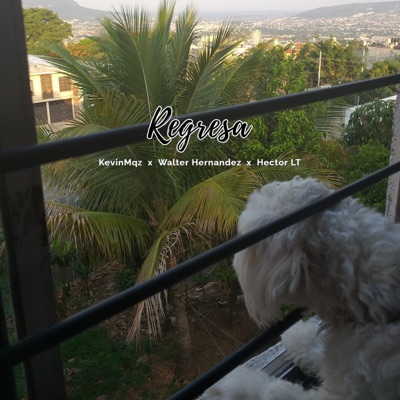 Regresa - Single