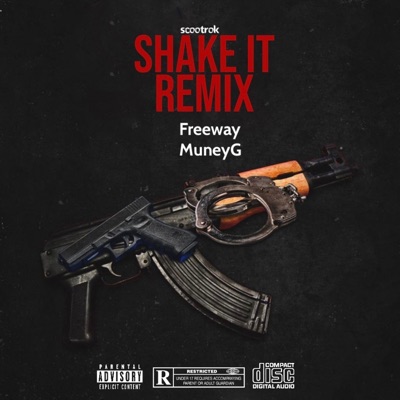 Shake it Remix - Single