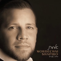 Album cover for Abba by Mordechai Shapiro