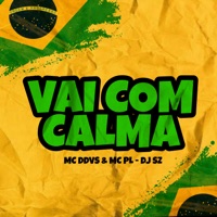 Vai Com Calma - Single - MC DDVS, MC PL & DJ SZ
