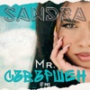 Sandra - Mr. Съвършен