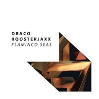 Flaminco Seas - Single - Draco & ROOSTERJAXX